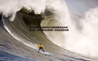 黑白直播官网-赛场更迭与赛程调整背后的战略考量—深度解析区域赛第一阶段运营新思路