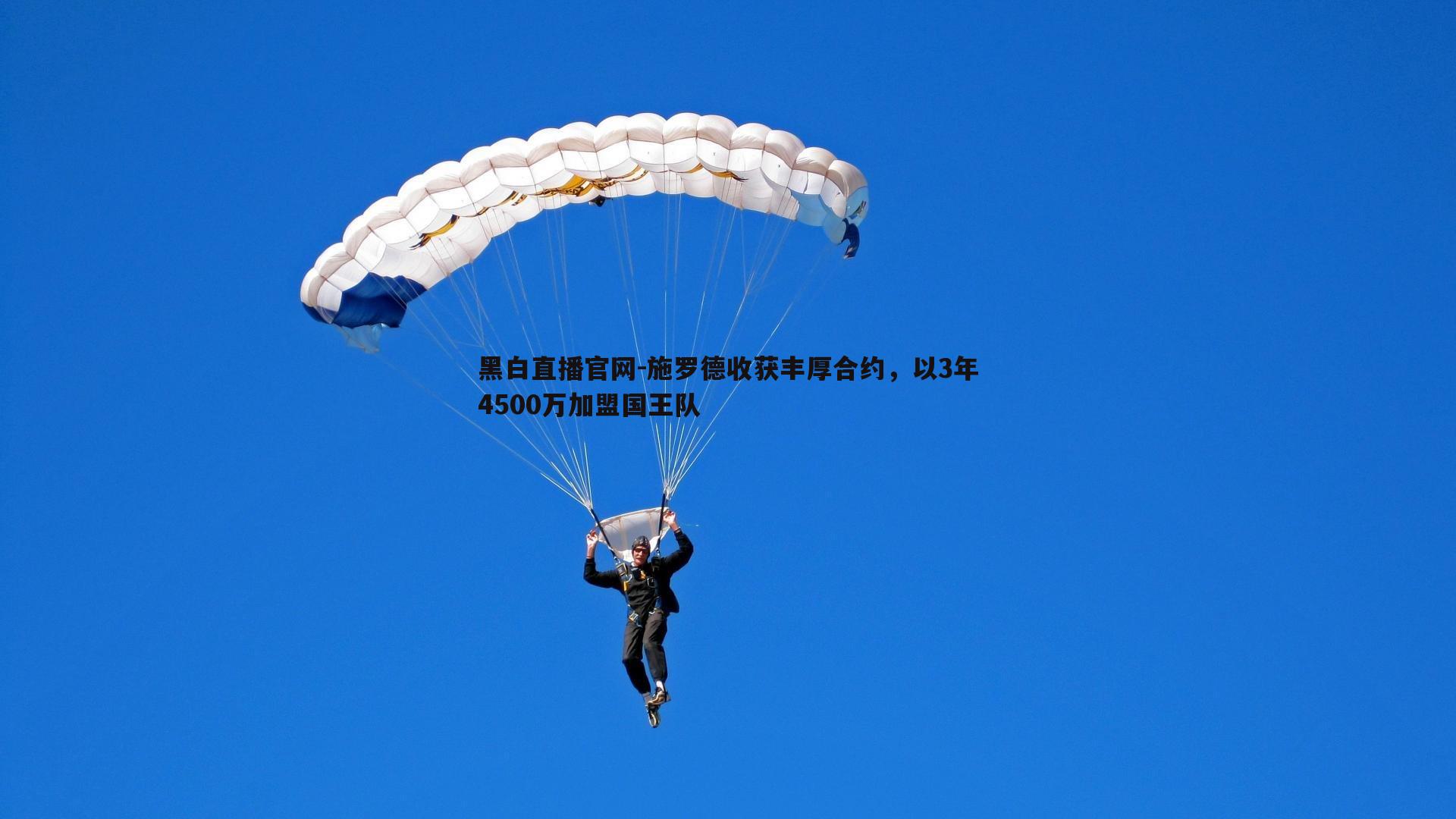 黑白直播官网-施罗德收获丰厚合约，以3年4500万加盟国王队-第2张图片-黑白直播官网
